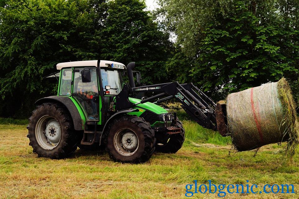 Renting a Front End Loader