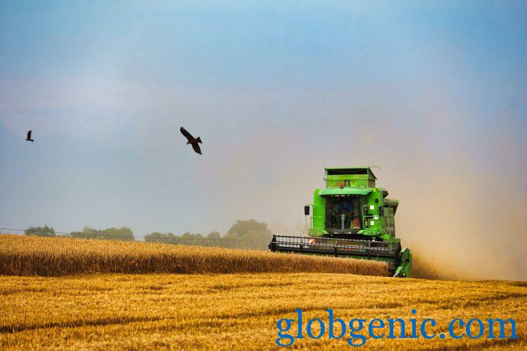 Top 15 Reasons to Consider Combine Harvester Rentals for Your Farming Needs